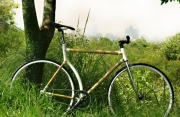 Bamboocycle 