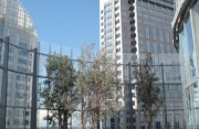 Bligh Office Tower