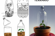 Bottiglie di Plastica