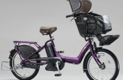 Bridgestone Bike
