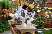 Electree+