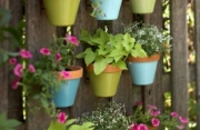 Giardini per interni