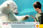 Let's Go! Arctic. Shell