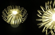 Lampade Ecologiche