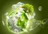 henna-arts-earth-day-2