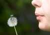Girl blowing dandelion against green background