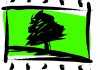 logo-cinemambiente