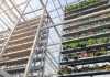 verticalfarmsingapore