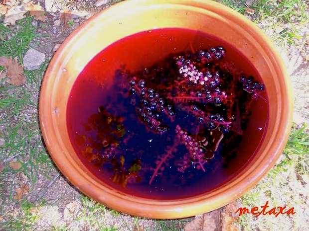 Come Colorare Le Uova Con Colori Naturali