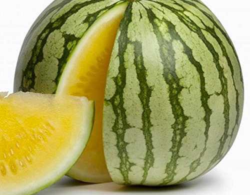 coltivare anguria gialla