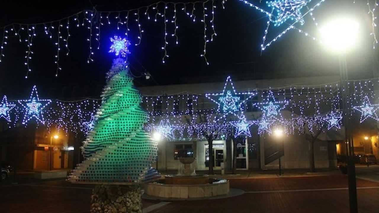 Albero Di Natale Con Bottiglie Di Plastica Tagliate.Un Natale Davvero Green Per Pedaso Idee Green