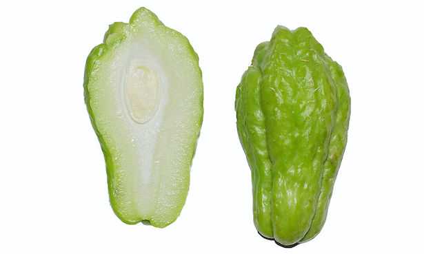 Coltivare la zucca spinosa