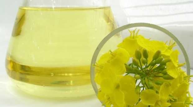 olio di colza