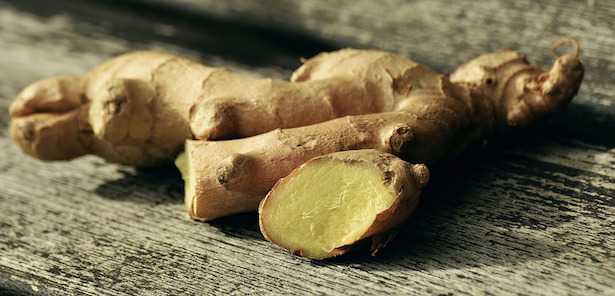 zenzero come usarlo
