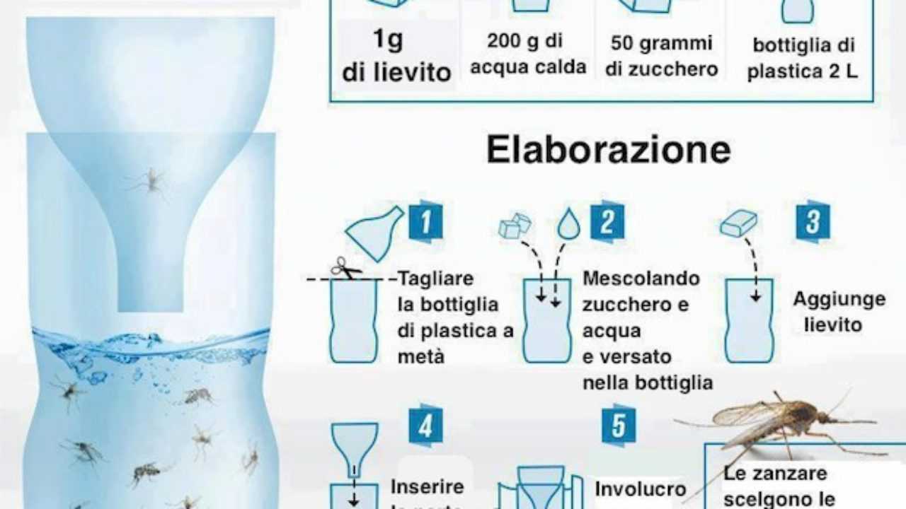 Bottiglia Antizanzare La Trappola Fai Da Te Idee Green