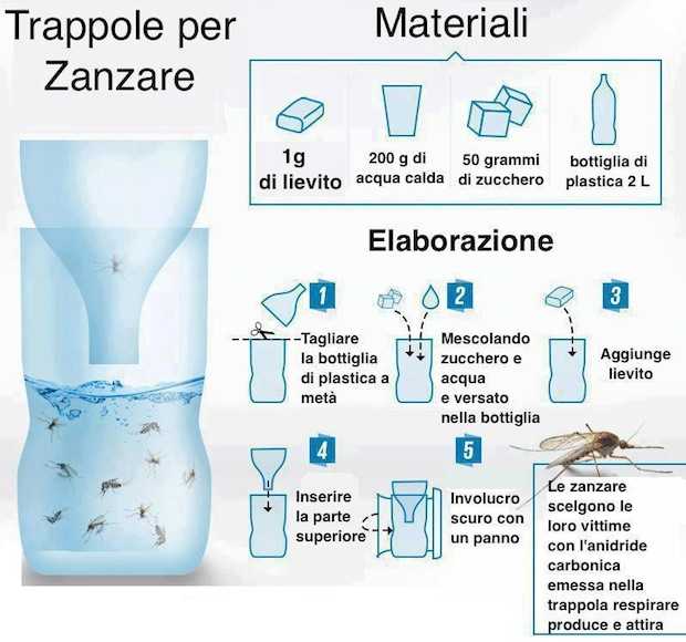 Bottiglia Antizanzare La Trappola Fai Da Te Idee Green