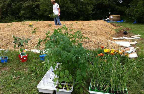 Agricoltura sinergica