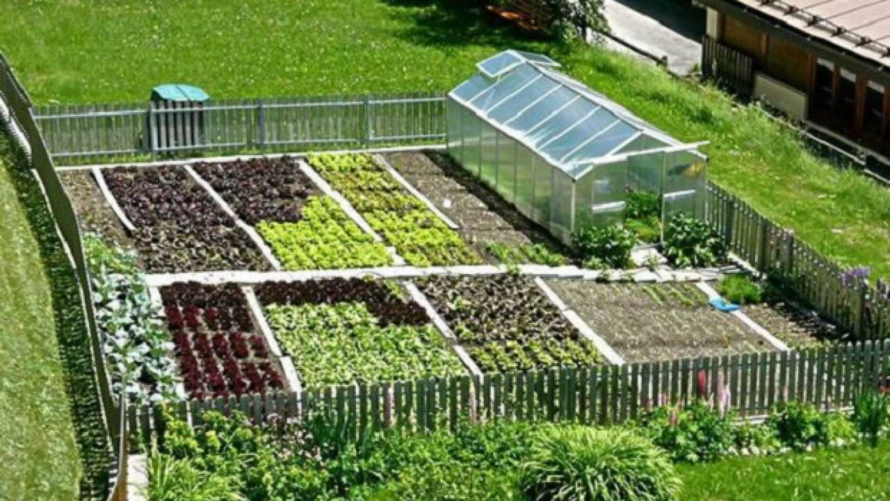 Come coltivare l'orto - Idee Green
