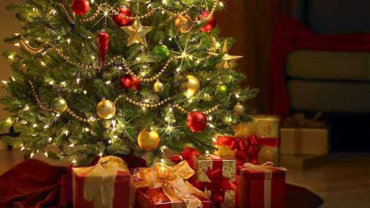 Idee Regalo Natale Ikea 2020.Idee Regalo Di Natale Per Gli Amici Idee Green