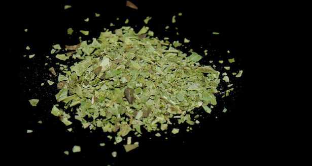 come seccare erbe aromatiche