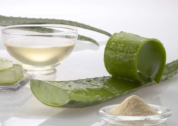 assumere succo di aloe vera