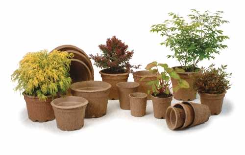 Ciotole Monouso In Carta Kraft 750ml - Confezione Da 50 | Biodegradabili Per Zuppe, Gelati, Asporto