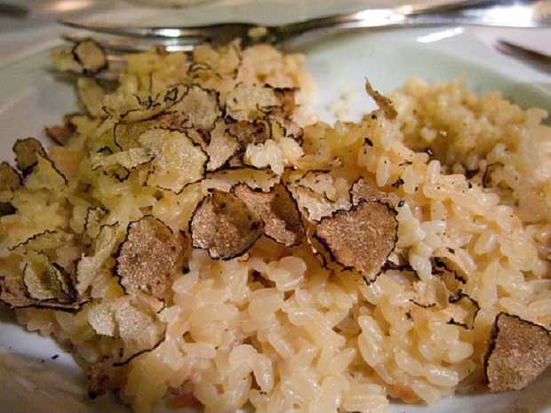 risotto al tartufo