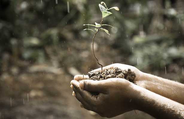 Come riconoscere i tipi di terreno