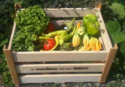 alimentazione ecologica