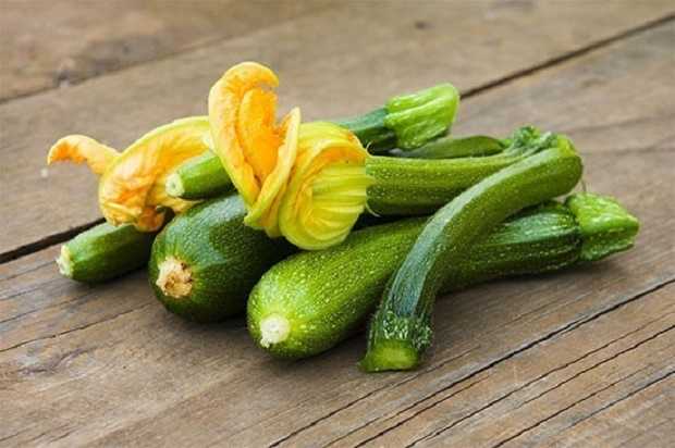 zucchine proprietà