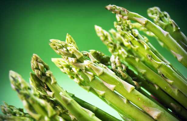 coltivazione asparagi in vaso