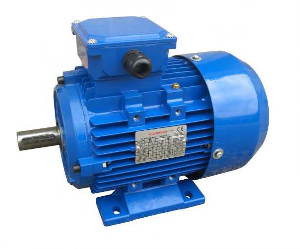 efficienza-energetica-motori-elettrici