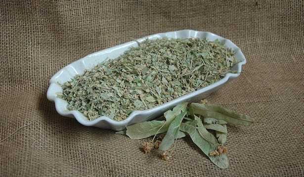 fiori di tiglio tisana