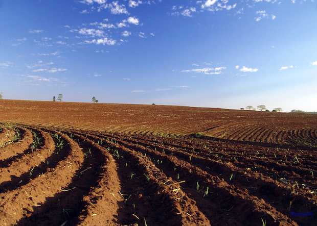 Lat.:      S   Long.:     W   Alt. metros: