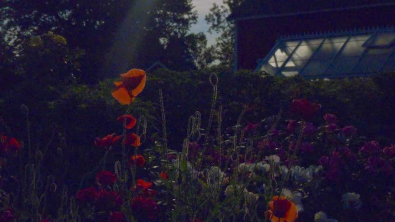 24+ Lunario Per Le Semine giorni buoni per tagliare capelli