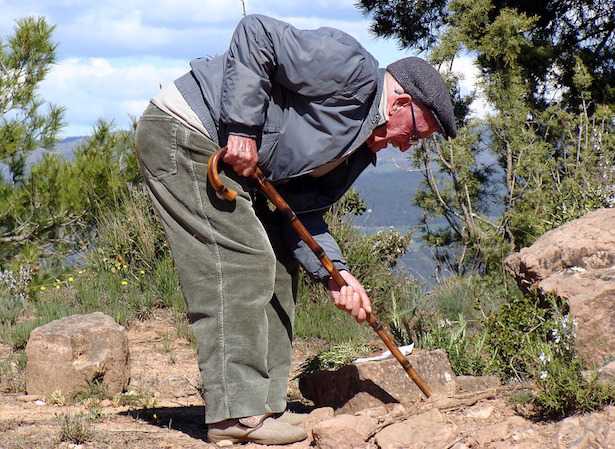 agricoltura sociale che cos'è