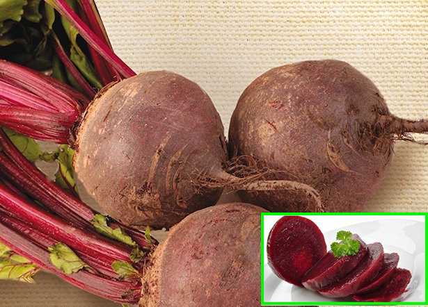 barbabietola rossa tonda