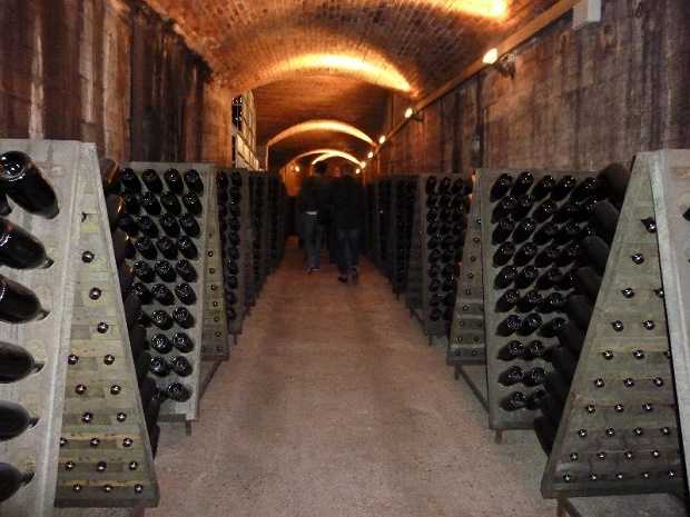 come diventare sommelier