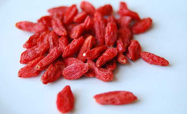 coltivare bacche di goji berry