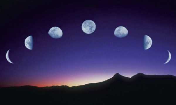 semina e fasi lunari