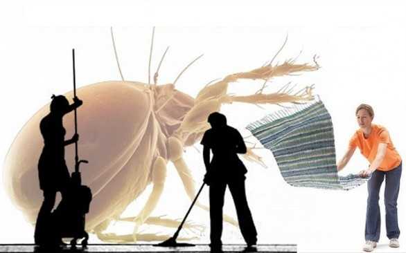 acari-rimedi-naturali