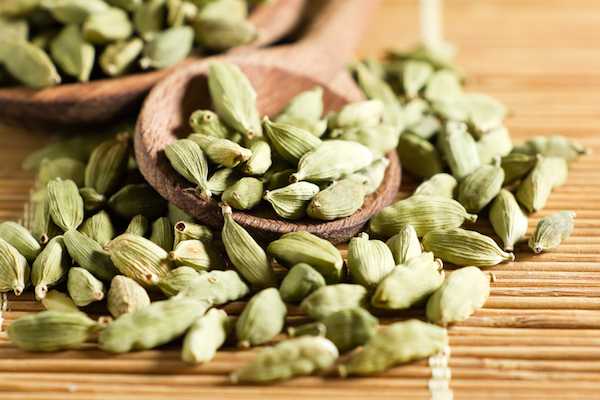 Cardamomo