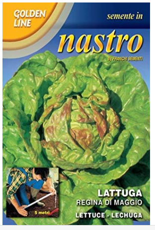 lattuga semi su nastro