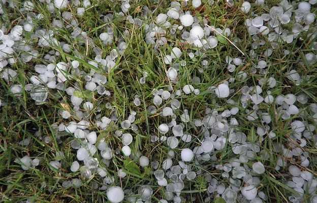 proteggere orto dalla grandine rete antigrandine