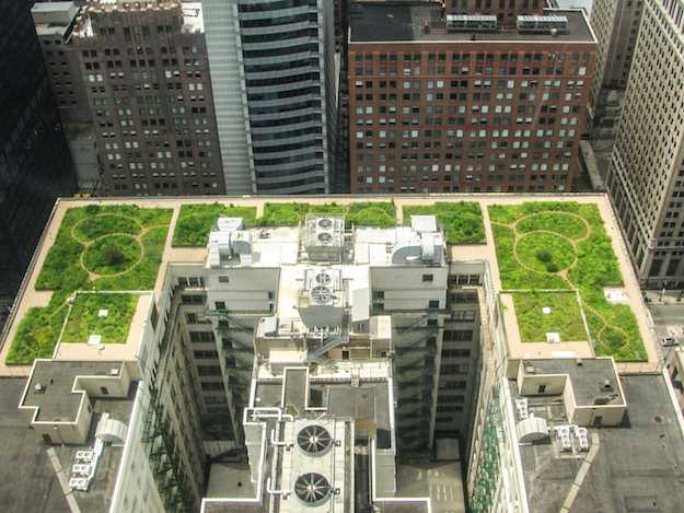 tetto verde vantaggi