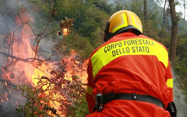 diventare guardia forestale