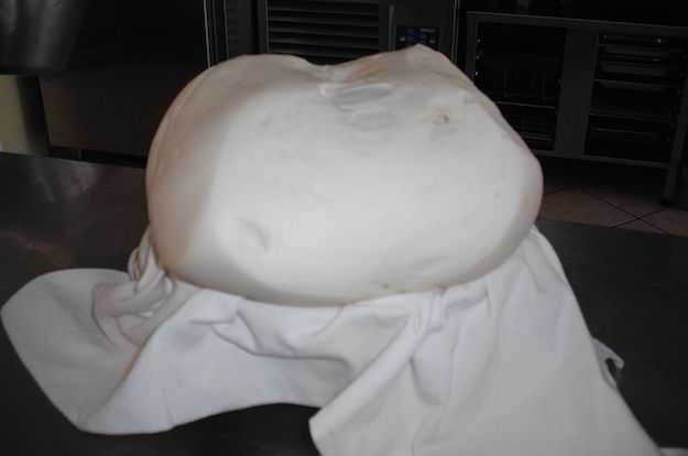 lievito madre lievito madre