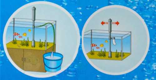 cambiare acqua acquario