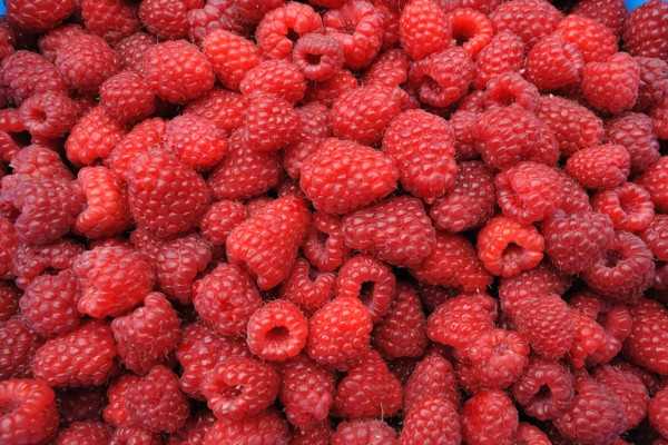 come fare la marmellata di lamponi