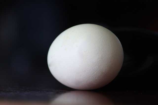 uova bianche proprietà